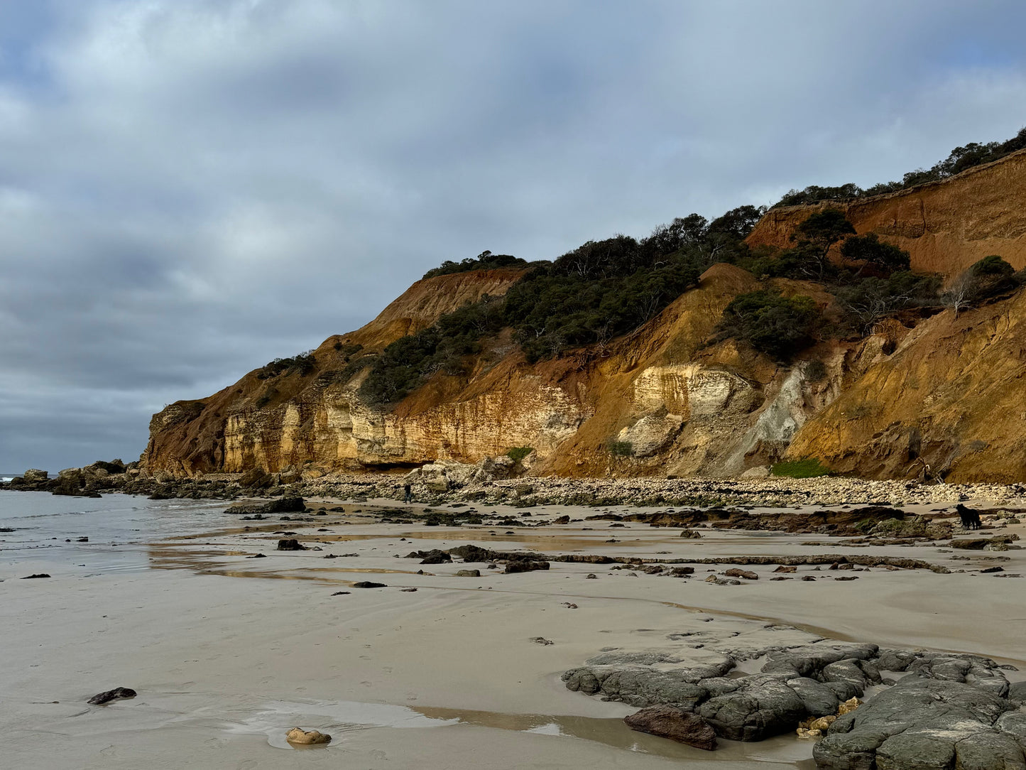 Point Addis Pink