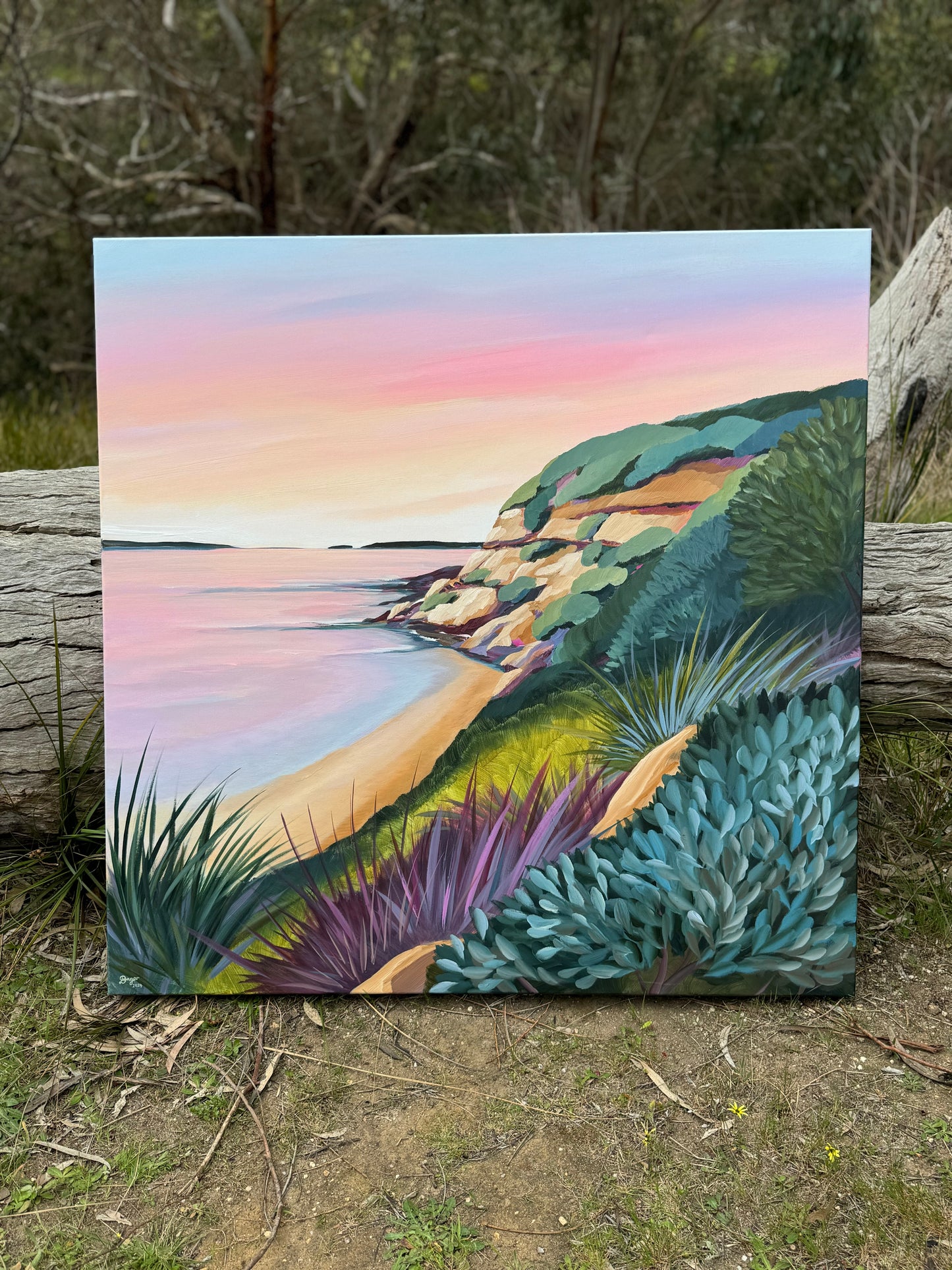 Barwon Heads Bluff At Sunrise