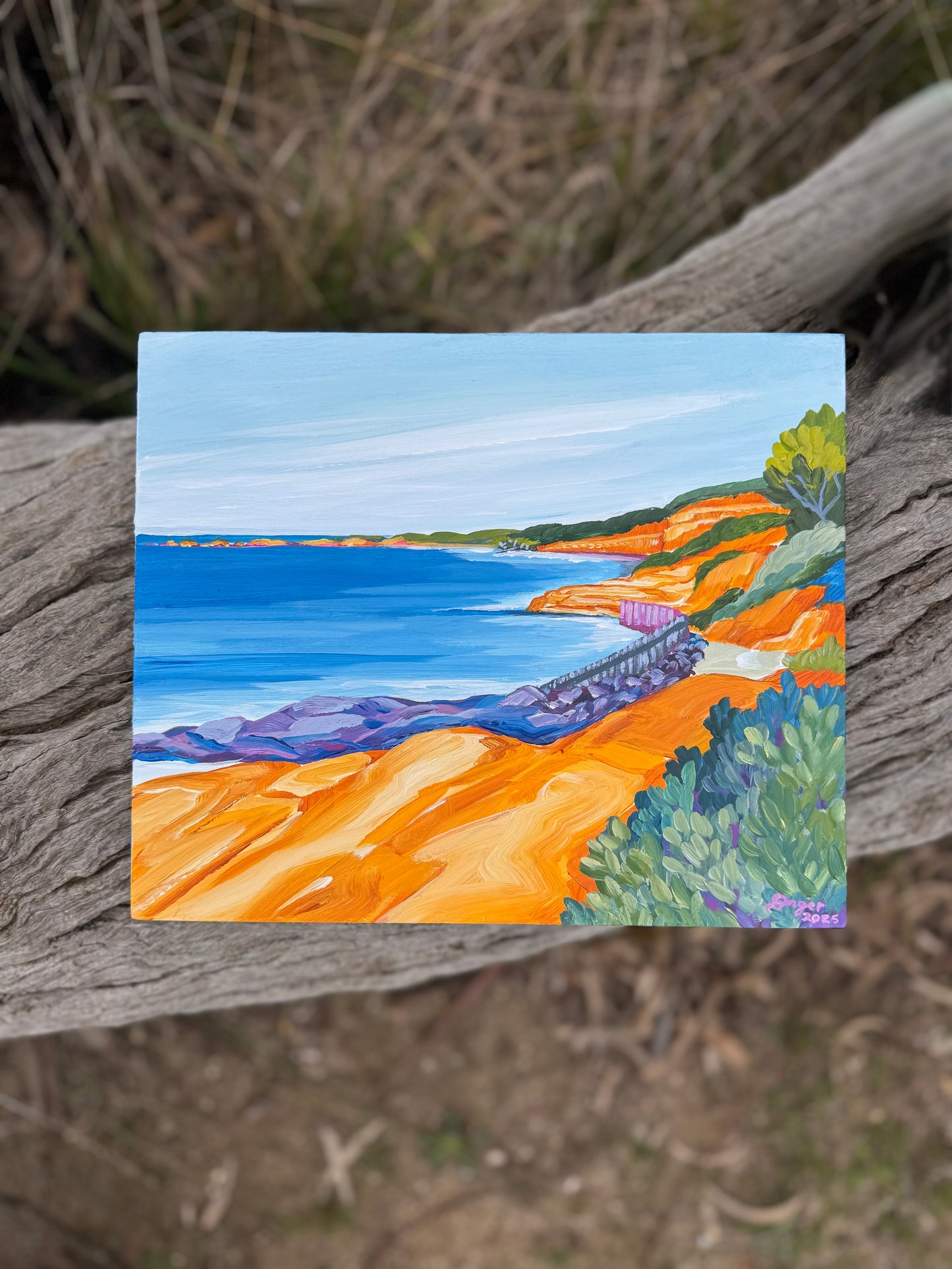 Anglesea - Point Roadknight Soapy Rock