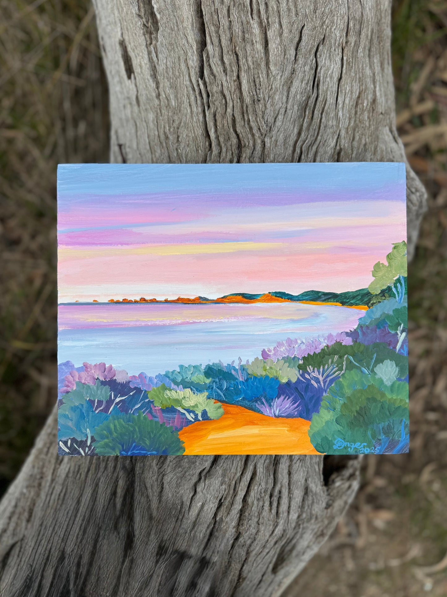 Anglesea - Point Roadknight Sunrise 2