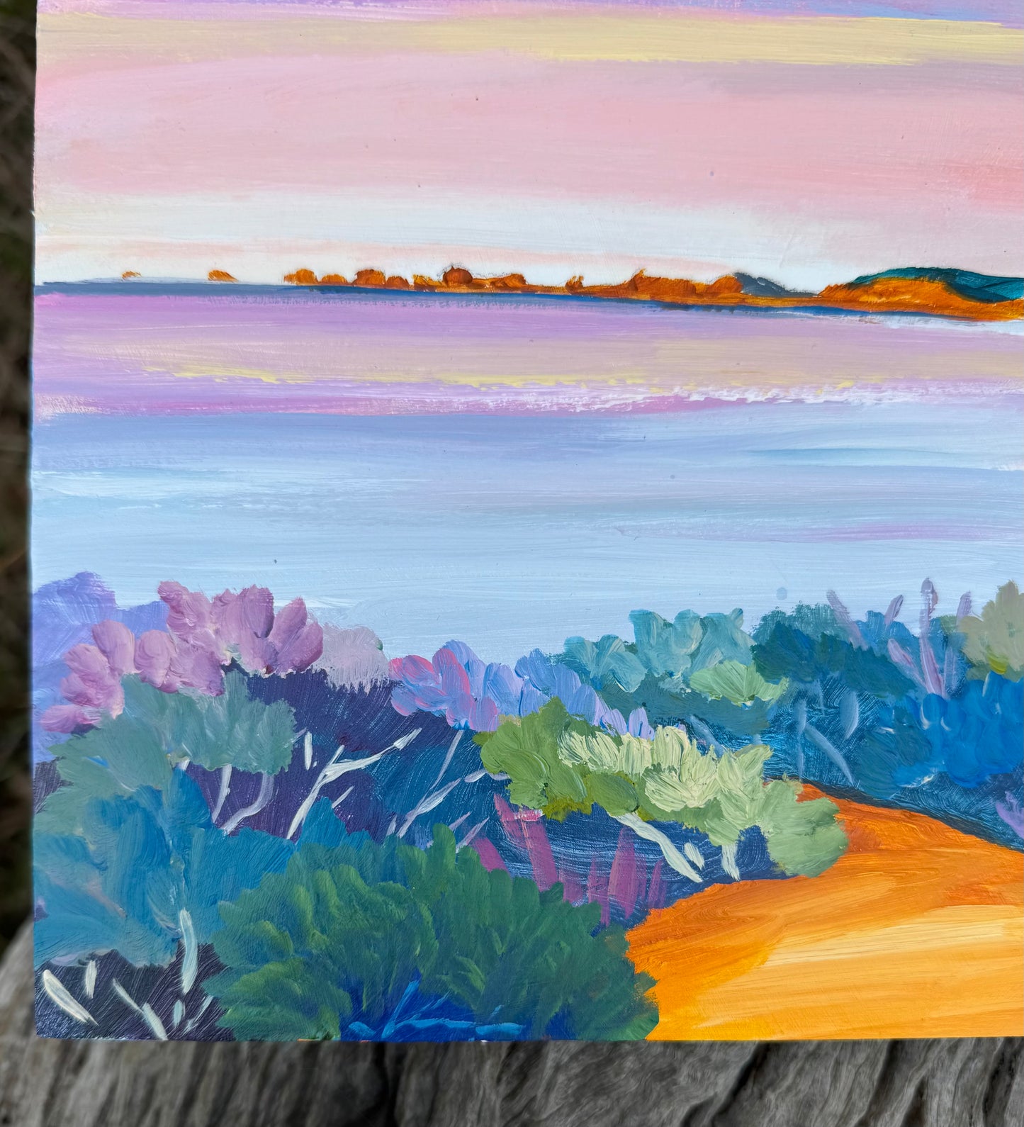 Anglesea - Point Roadknight Sunrise 2