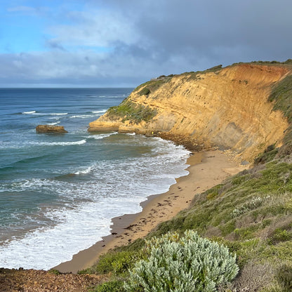 Wandering By Bird Rock