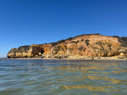 Point Addis in Summer