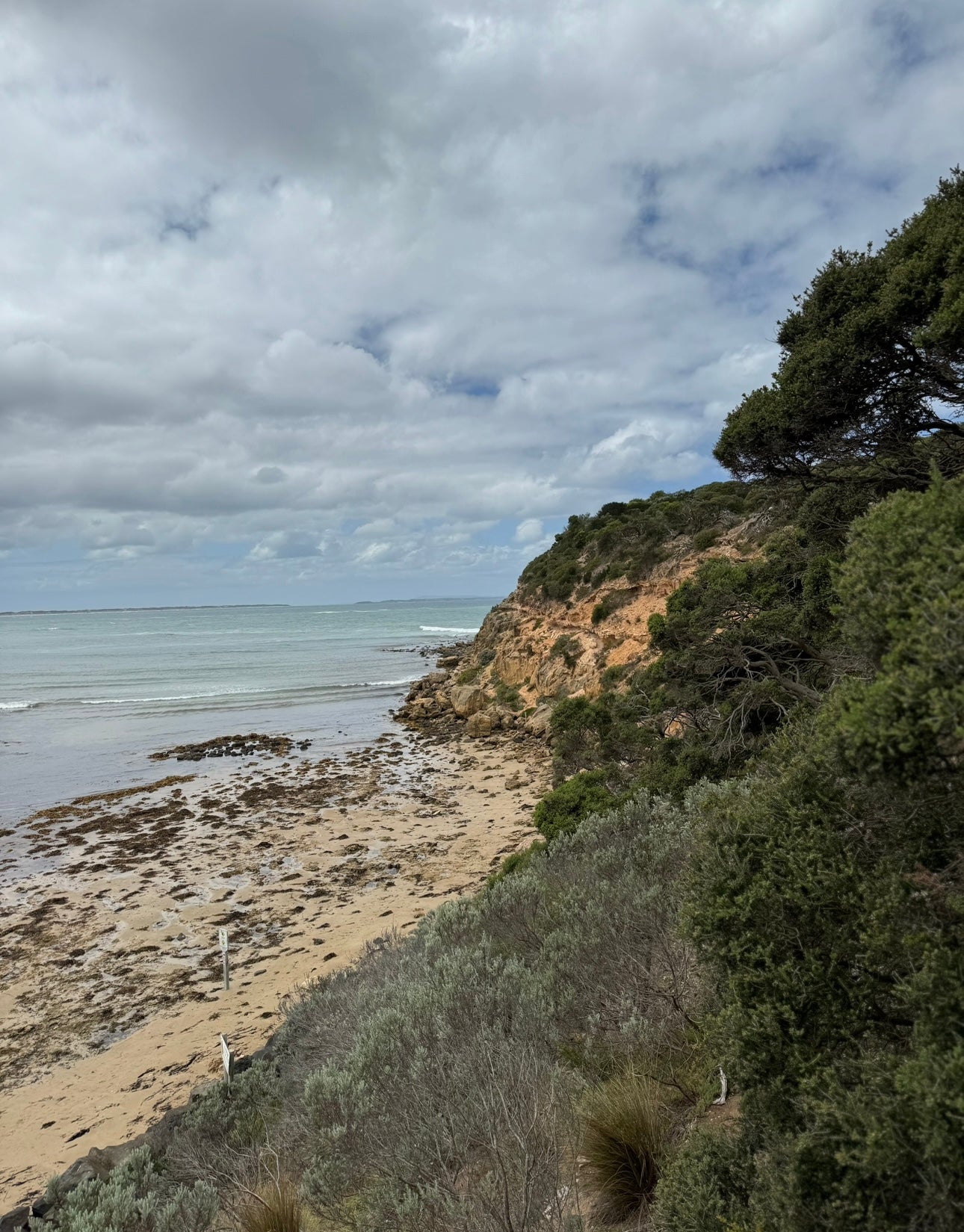 Barwon Heads Bluff At Sunrise | Limited Edition Print