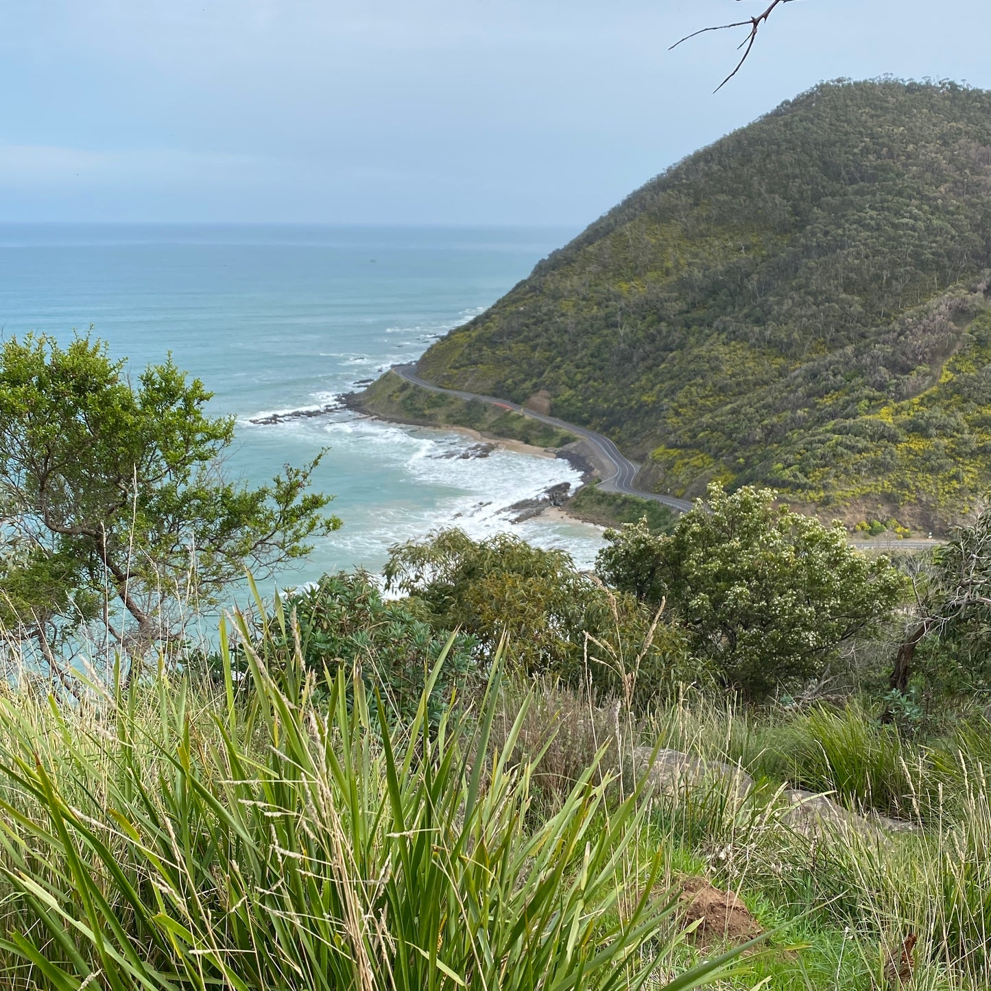 Teddys Lookout no 5 | Limited Edition Print