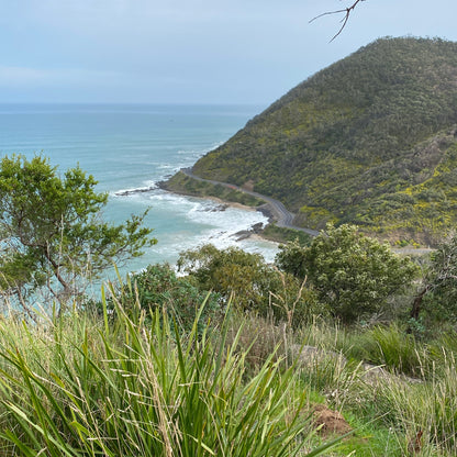 Teddys Lookout no 5 | Limited Edition Print