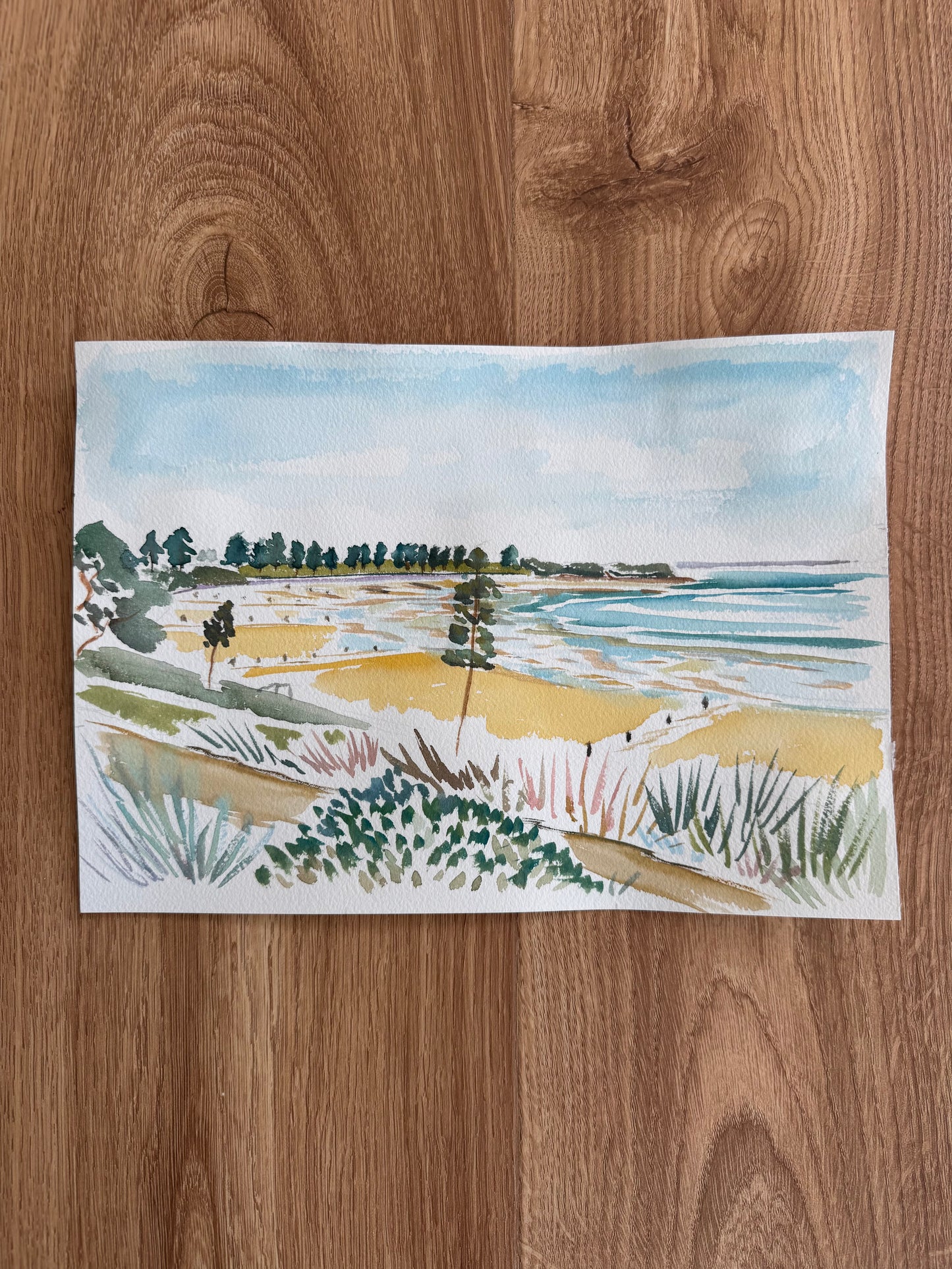 Surf Coast Arts Trail - watercolour studies