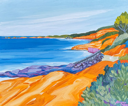 Anglesea - Point Roadknight Soapy Rock